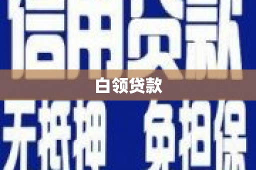 天镇白领贷款