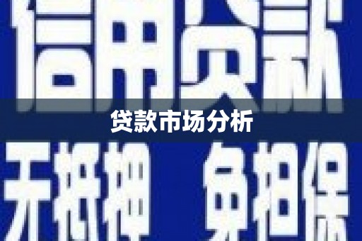 天镇贷款市场分析
