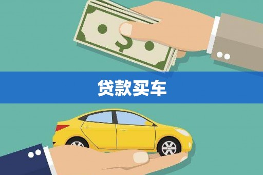 天镇贷款买车
