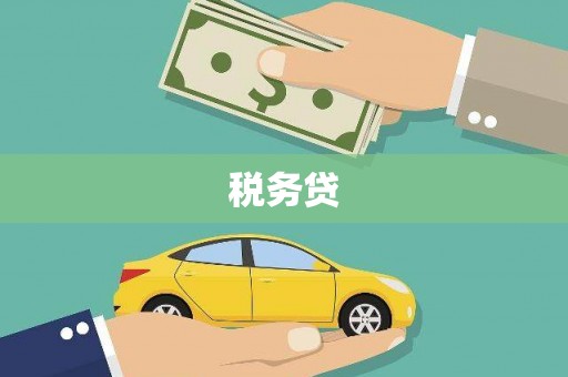 天镇税务贷
