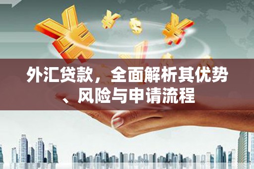 天镇外汇贷款，全面解析其优势、风险与申请流程