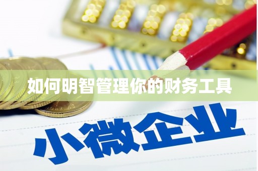 天镇如何明智管理你的财务工具