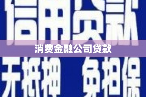 天镇消费金融公司贷款