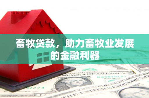 天镇畜牧贷款，助力畜牧业发展的金融利器