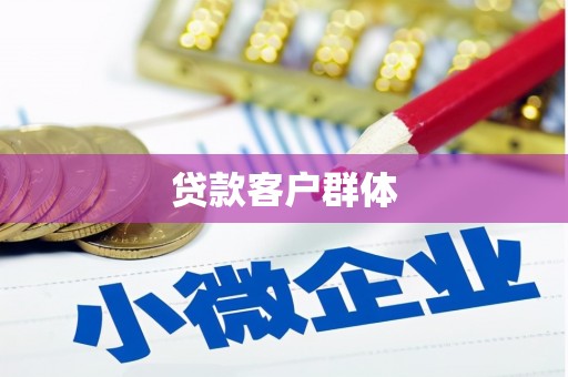 天镇贷款客户群体