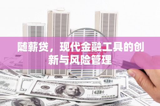 天镇随薪贷，现代金融工具的创新与风险管理
