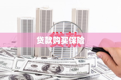 天镇贷款购买保险