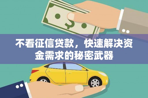 天镇不看征信贷款，快速解决资金需求的秘密武器