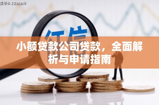 天镇小额贷款公司贷款，全面解析与申请指南