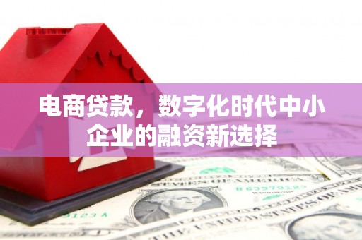 天镇电商贷款，数字化时代中小企业的融资新选择