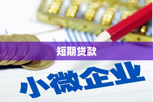 天镇短期贷款