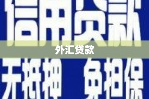 天镇外汇贷款