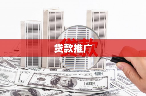 天镇贷款推广