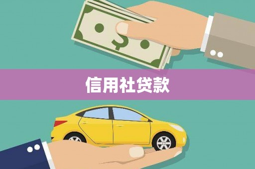 天镇信用社贷款