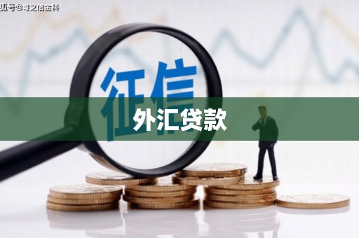 天镇外汇贷款