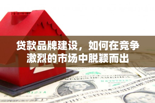 天镇贷款品牌建设，如何在竞争激烈的市场中脱颖而出