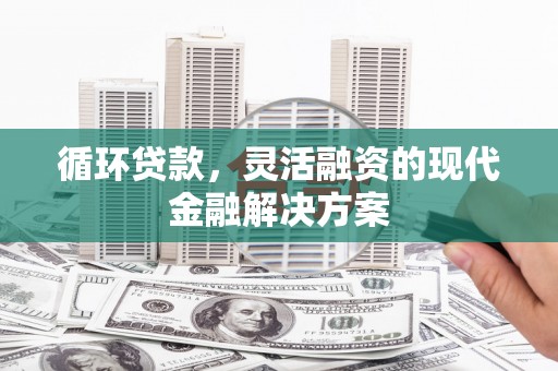 天镇循环贷款，灵活融资的现代金融解决方案