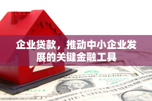 天镇企业贷款，推动中小企业发展的关键金融工具