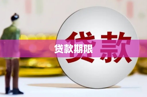 天镇贷款期限