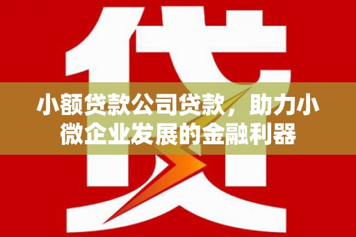 天镇小额贷款公司贷款，助力小微企业发展的金融利器