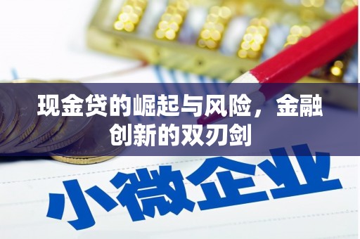 天镇现金贷的崛起与风险，金融创新的双刃剑