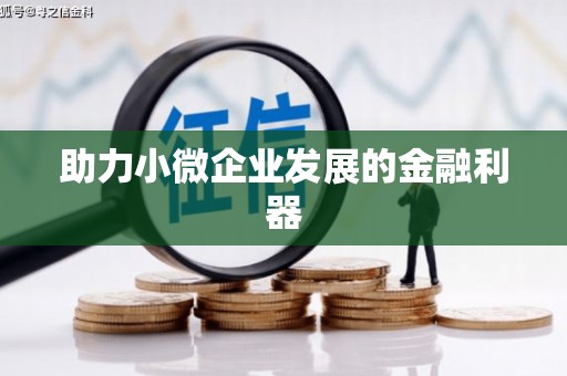 天镇助力小微企业发展的金融利器