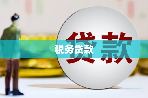 天镇税务贷款