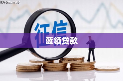 天镇蓝领贷款