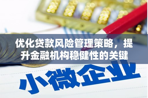 天镇优化贷款风险管理策略，提升金融机构稳健性的关键