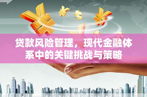 天镇贷款风险管理，现代金融体系中的关键挑战与策略