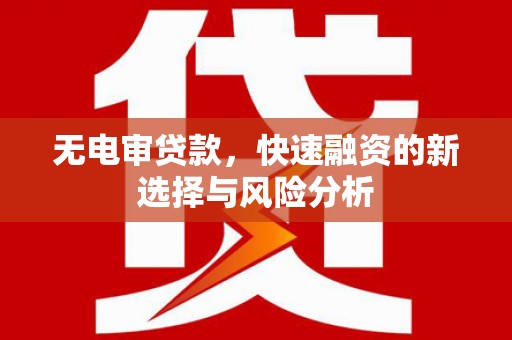 天镇无电审贷款，快速融资的新选择与风险分析