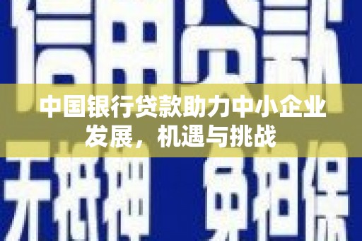 天镇中国银行贷款助力中小企业发展，机遇与挑战
