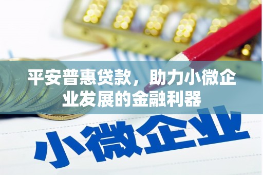 天镇平安普惠贷款，助力小微企业发展的金融利器