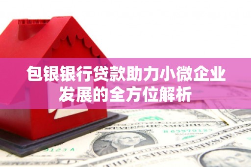 天镇包银银行贷款助力小微企业发展的全方位解析