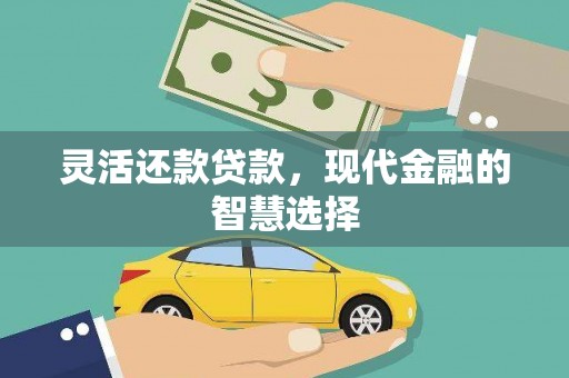 天镇灵活还款贷款，现代金融的智慧选择