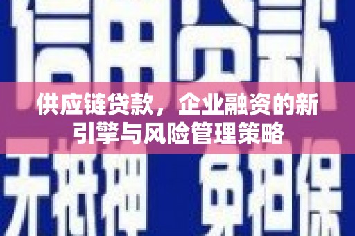 天镇供应链贷款，企业融资的新引擎与风险管理策略
