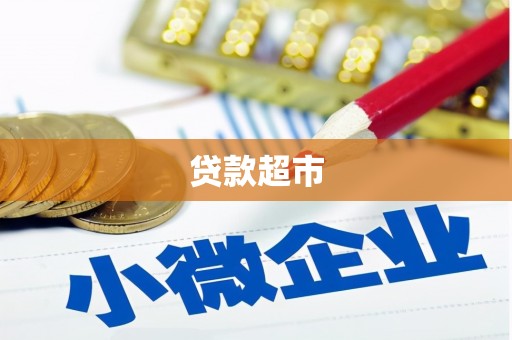 天镇贷款超市