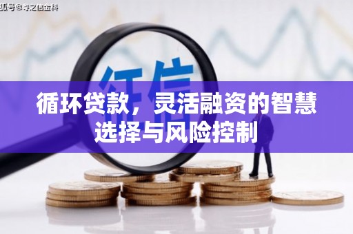天镇循环贷款，灵活融资的智慧选择与风险控制