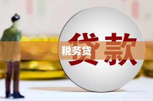 天镇税务贷