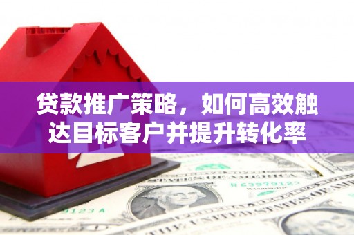 天镇贷款推广策略，如何高效触达目标客户并提升转化率