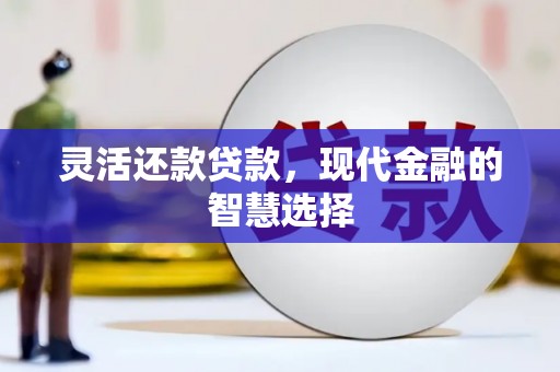 天镇灵活还款贷款，现代金融的智慧选择