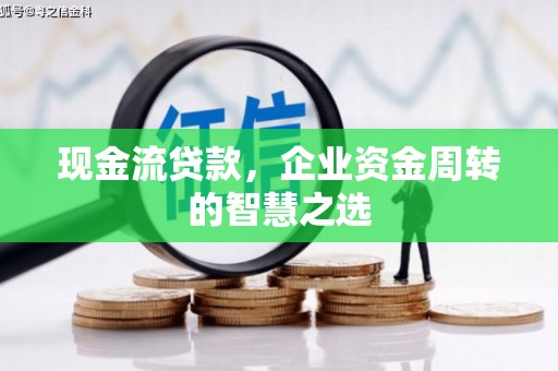 天镇现金流贷款，企业资金周转的智慧之选