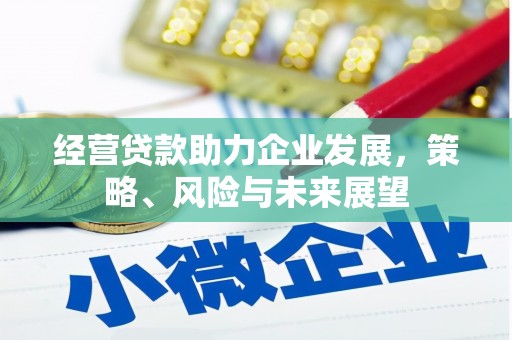 天镇经营贷款助力企业发展，策略、风险与未来展望