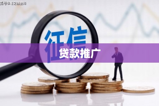 天镇贷款推广