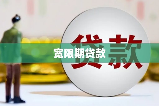 天镇宽限期贷款