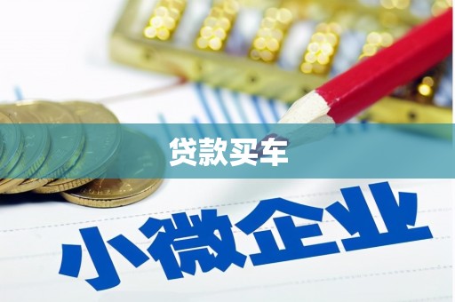 天镇贷款买车