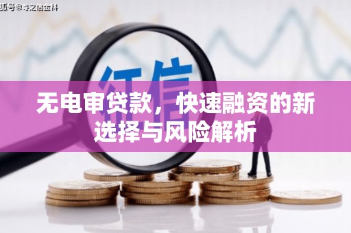 天镇无电审贷款，快速融资的新选择与风险解析