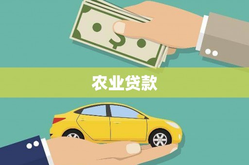 天镇农业贷款