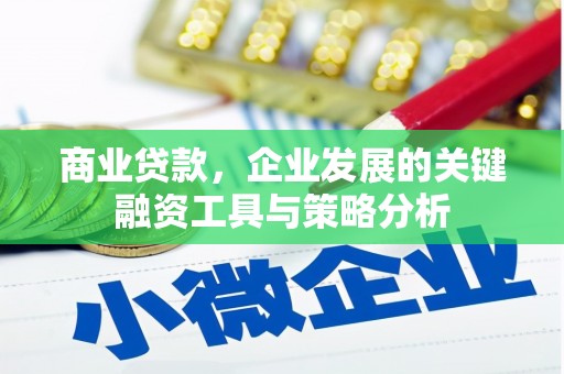 天镇商业贷款，企业发展的关键融资工具与策略分析