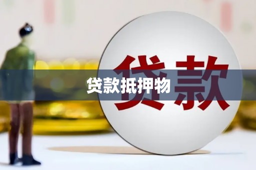 天镇贷款抵押物